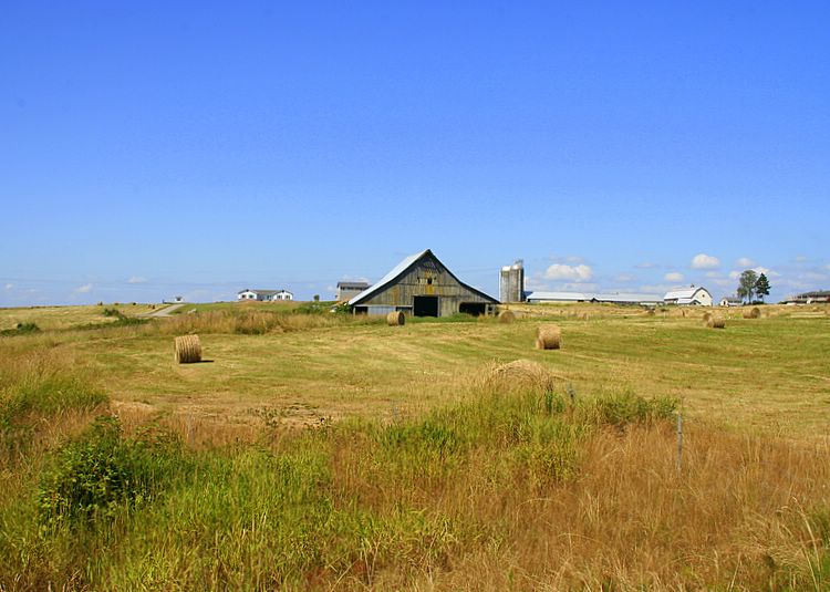old barn
